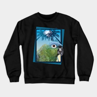 Mealy Amazon Crewneck Sweatshirt